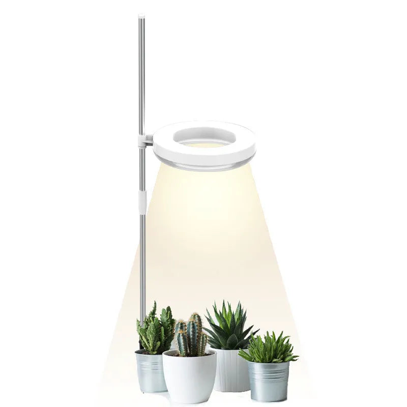 A desktop clamp plant growth lamp with a full spectrum LED light head attached to an adjustable arm.