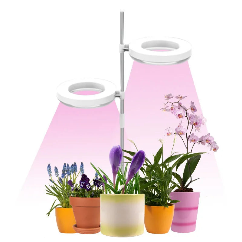 A desktop clamp plant growth lamp with a full spectrum LED light head attached to an adjustable arm.