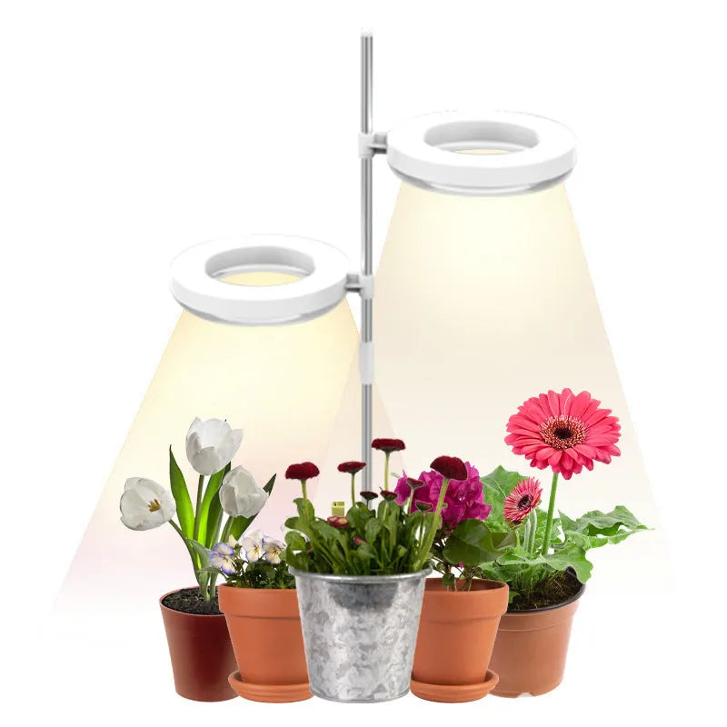 A desktop clamp plant growth lamp with a full spectrum LED light head attached to an adjustable arm.