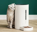 White smart pet feeder with 4.6L capacity and smartphone app connectivity