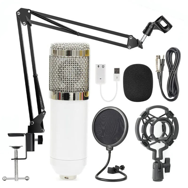 BM-800 condenser microphone set with net stand in black on desktop