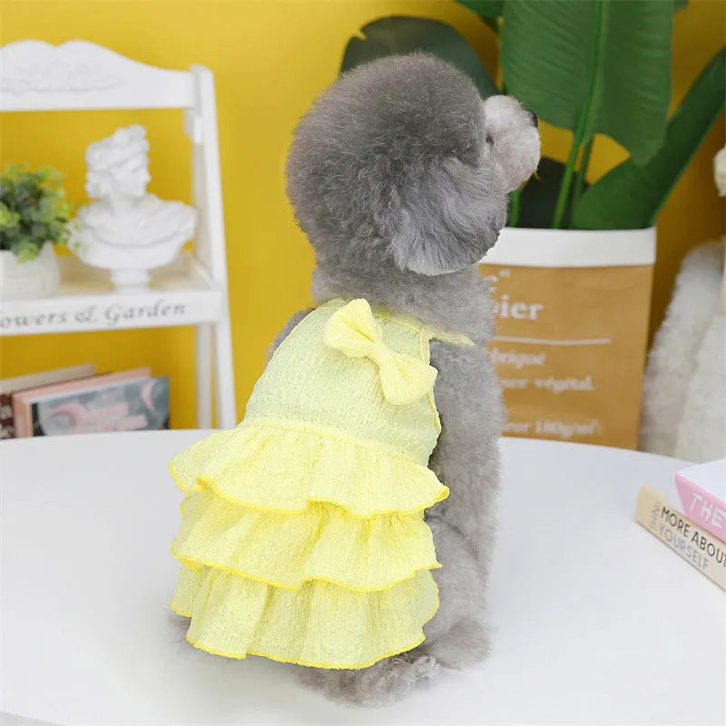 Small white dog wearing a rose red layered princess dress with a candy skirt design