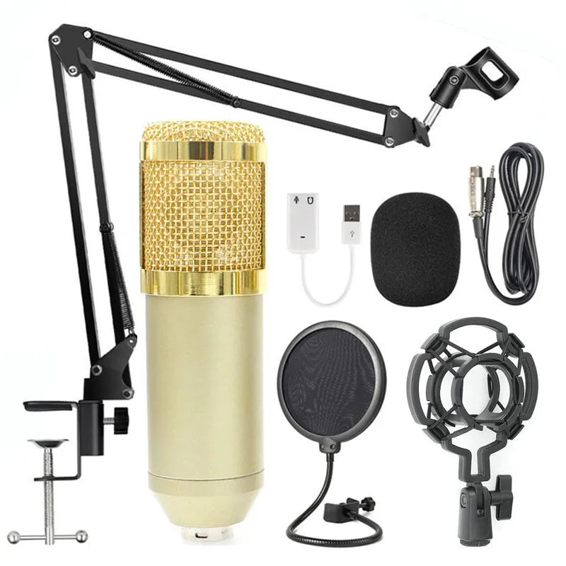 BM-800 condenser microphone set with net stand in black on desktop