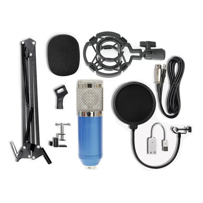 BM-800 condenser microphone set with net stand in black on desktop