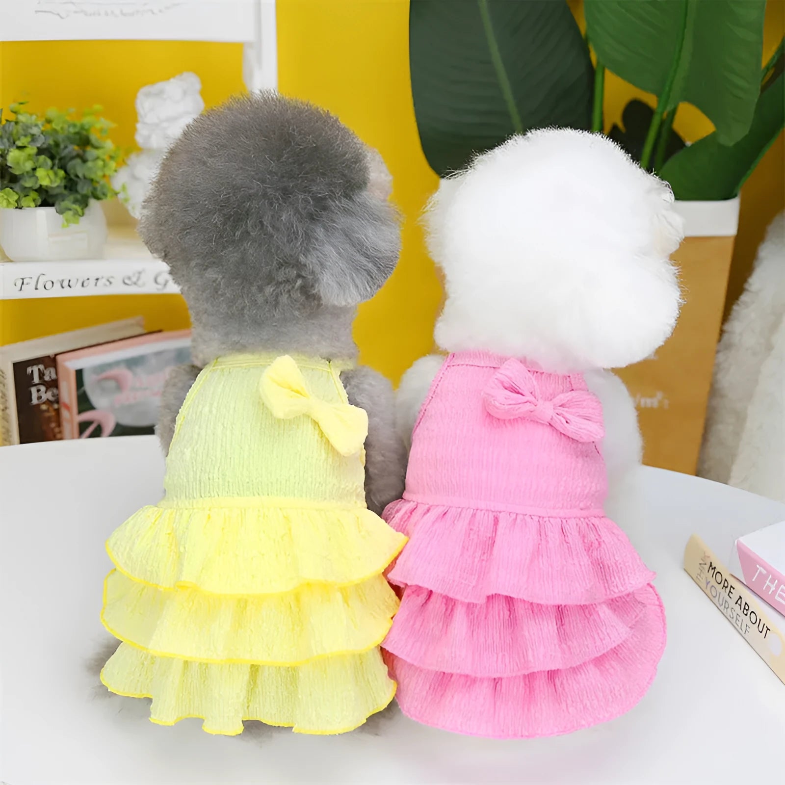Small white dog wearing a rose red layered princess dress with a candy skirt design