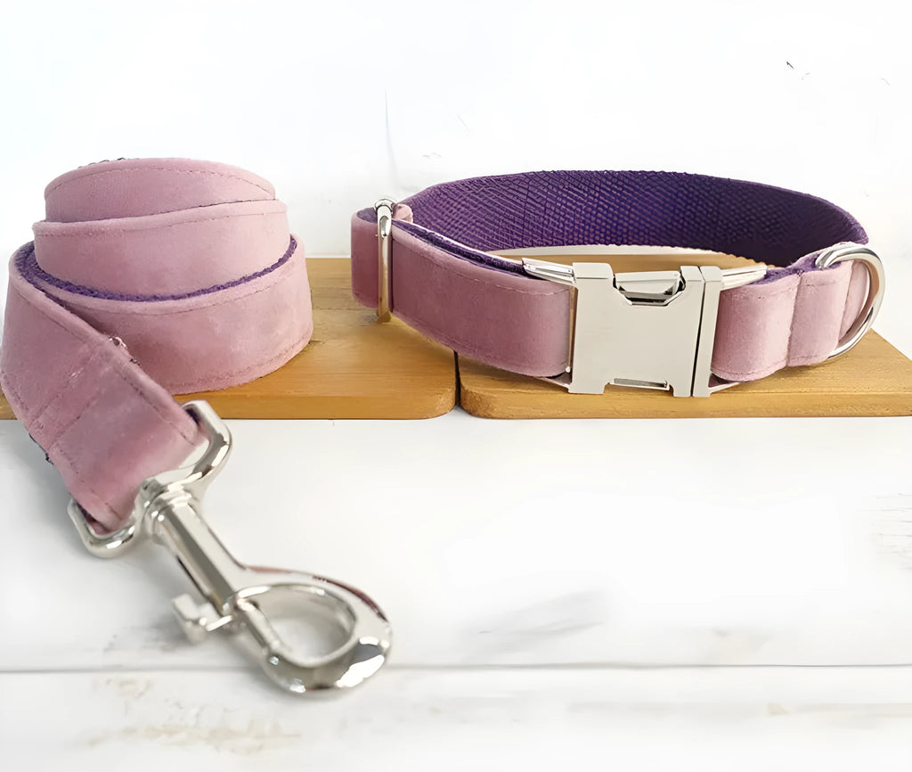 Pink purple nylon dog leash and collar set with reflective stripe on a black background, showing side view