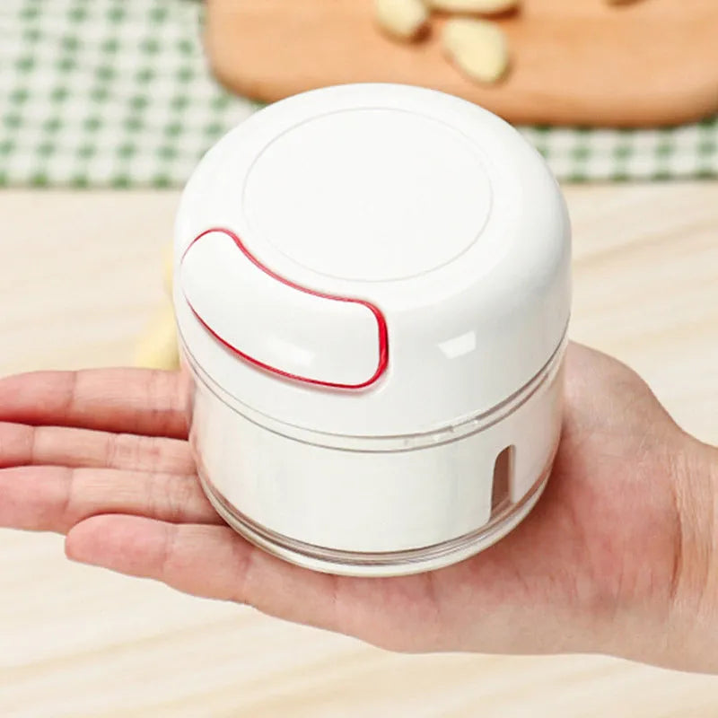 Compact manual food chopper with stainless steel blades for chopping vegetables, garlic, and ginger.