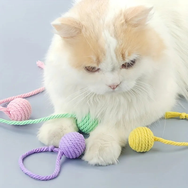 Colourful cat toy ball with an attached rope, shown in green, pink, purple, and yellow.