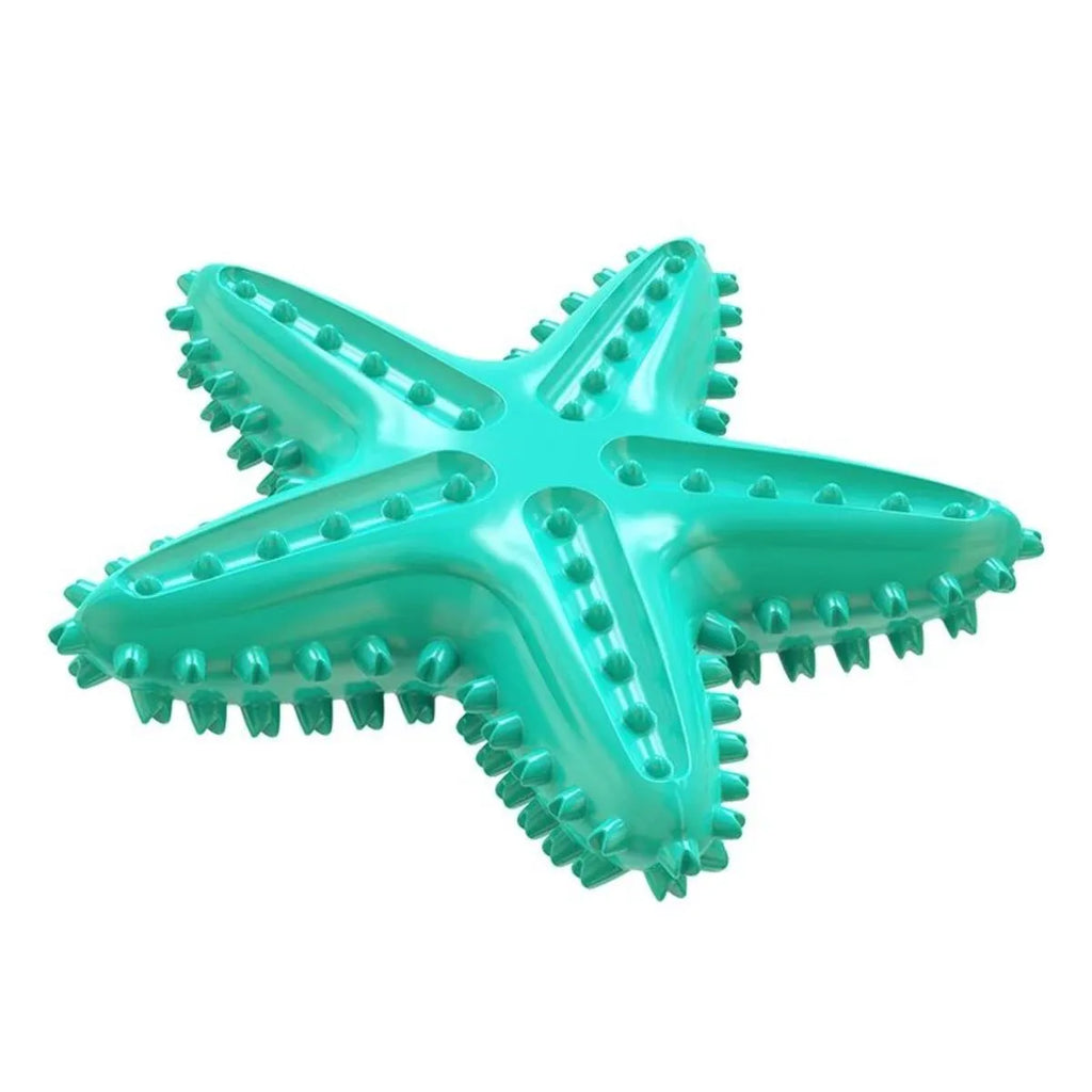 Blue edible TPR starfish dog chew toy with squeaker for dental cleaning