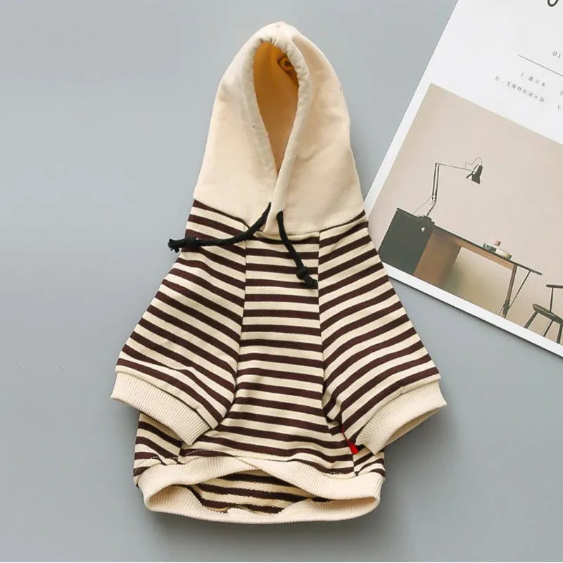 Cotton terry dog sweater in khaki for Teddy small breeds, front view