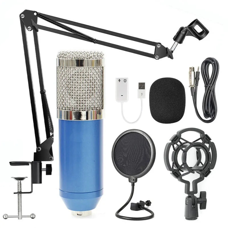 BM-800 condenser microphone set with net stand in black on desktop