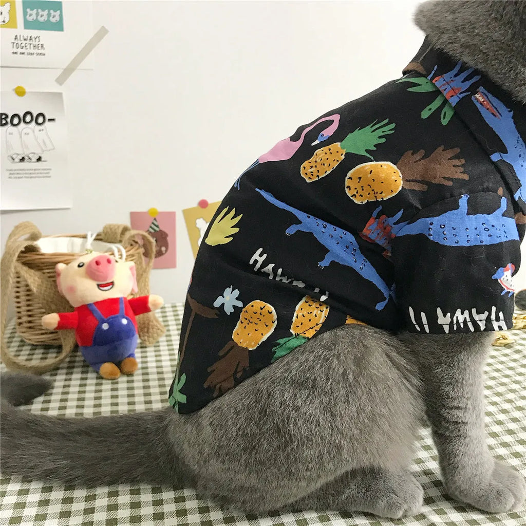 Summer thin cat shirt set with straw hat necklace and glasses on a cat