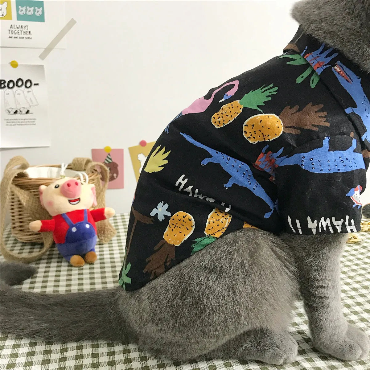Summer thin cat shirt set with straw hat necklace and glasses on a cat