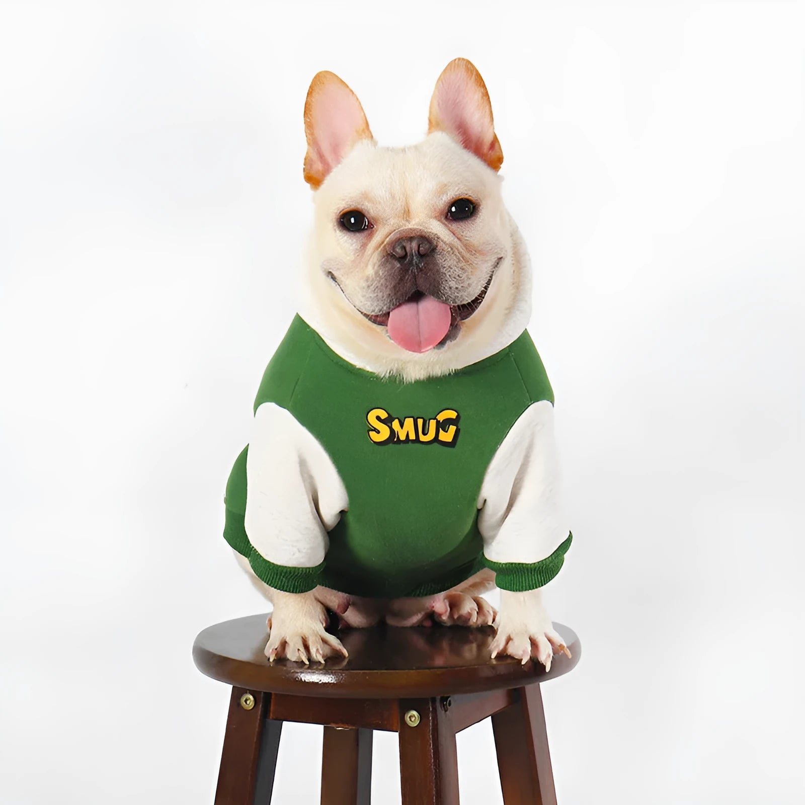 Green cotton dog jumper for large breeds in sizes L to 4XL for autumn and winter wear