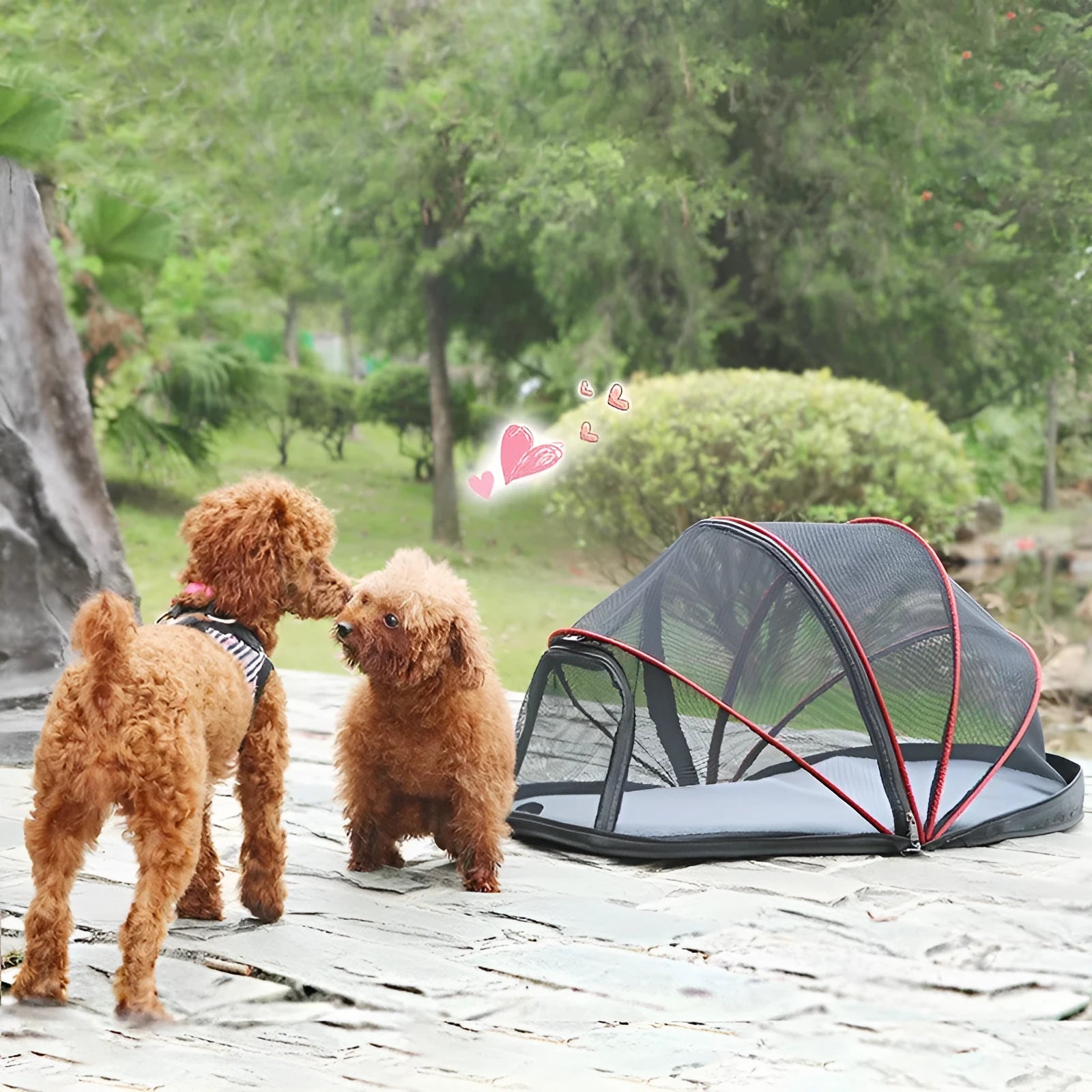 Folding cloth cat travel tent in L code size with half-mesh ventilation panel