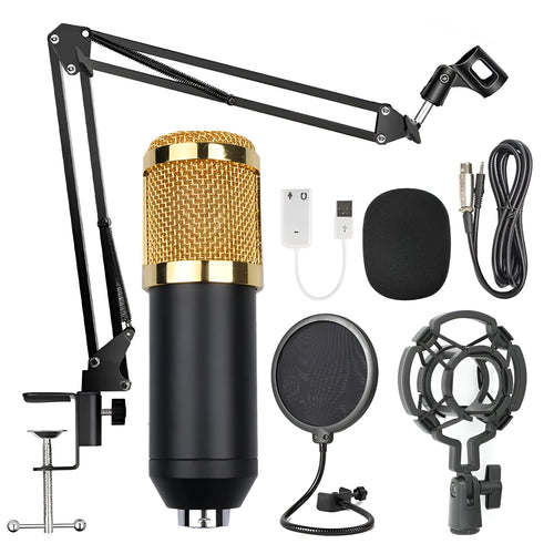 BM-800 condenser microphone set with net stand in black on desktop