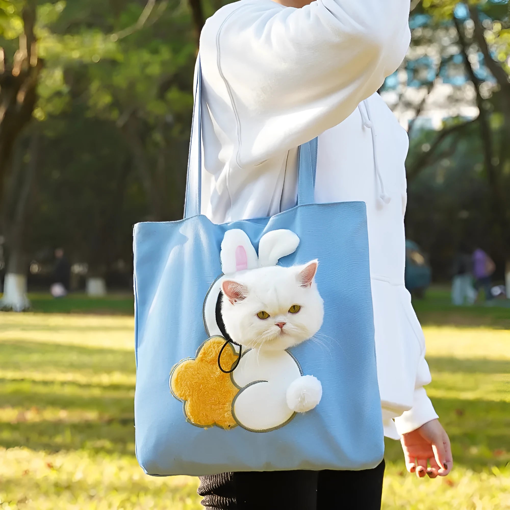 Canvas pet carrier backpack for small dogs and cats with cartoon pattern design