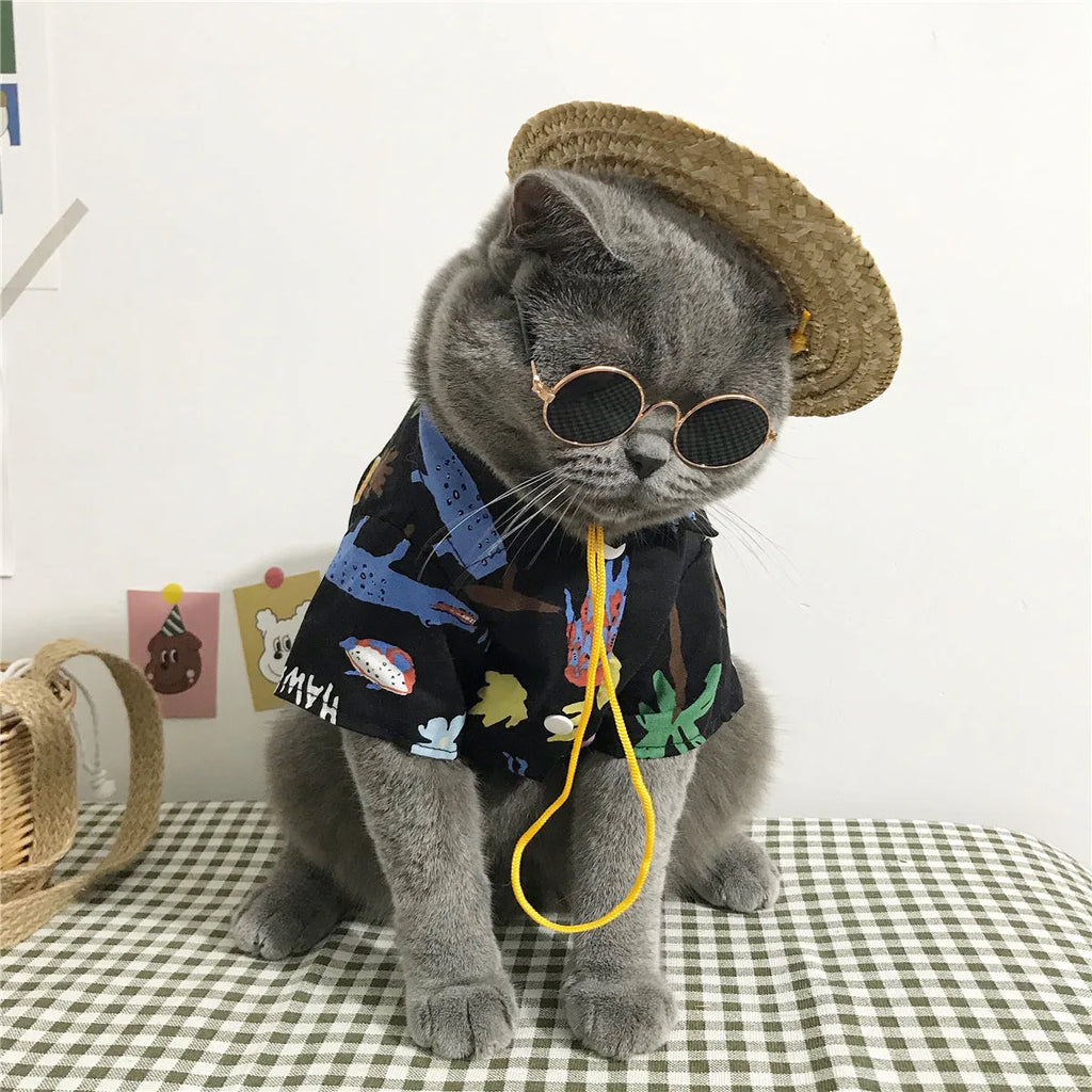 Summer thin cat shirt set with straw hat necklace and glasses on a cat