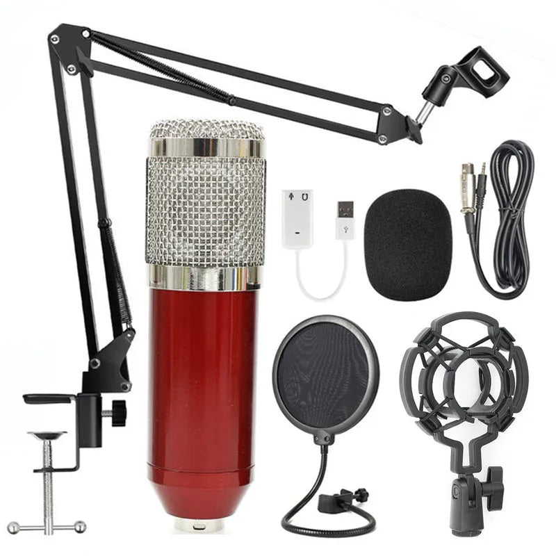 BM-800 condenser microphone set with net stand in black on desktop