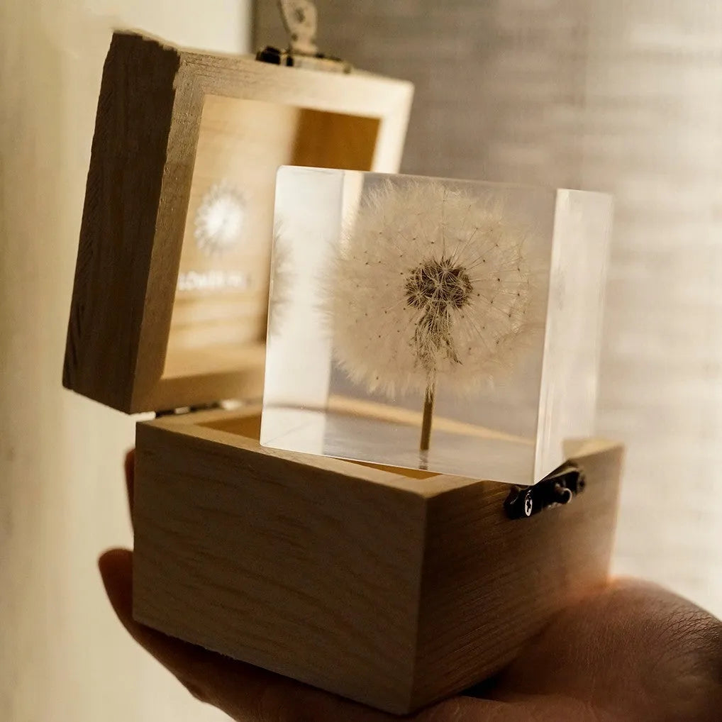 5cm clear resin cube with preserved dandelion flower beside wooden display box and USB charging base