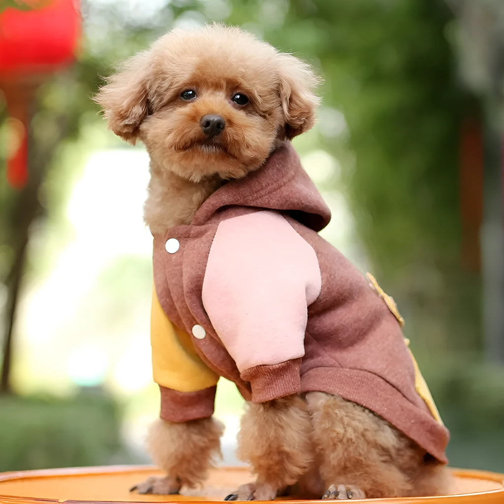 Brown cotton dog sweatshirt pet clothing shown on a canine model