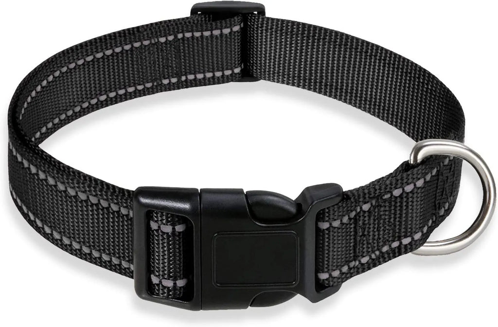 Adjustable nylon dog collar with chest strap in multiple colour options