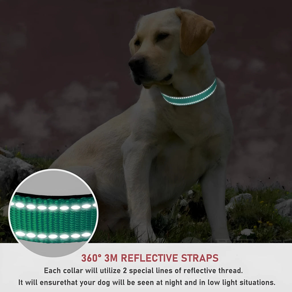 Adjustable nylon dog collar with chest strap in multiple colour options