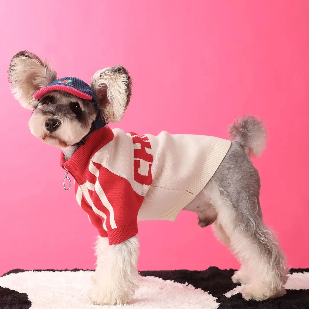 Red wool blend dog sweater cardigan on canine model showing casual sports-style design
