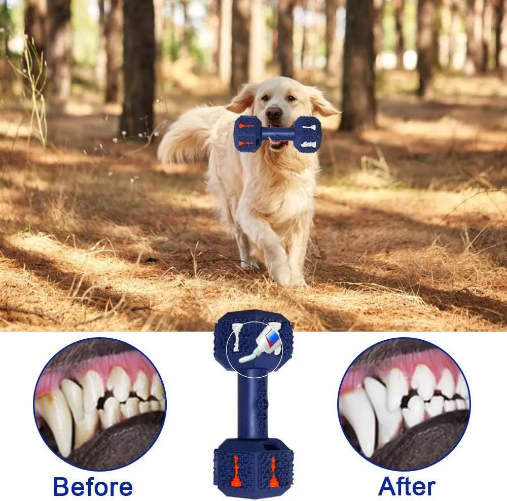 Blue dumbbell-shaped dog chew toy with textured surface and hollow ends for treats