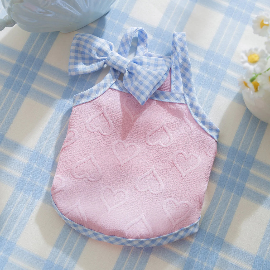 Small dog wearing a blue elastic vest with heart texture and bow suspenders.