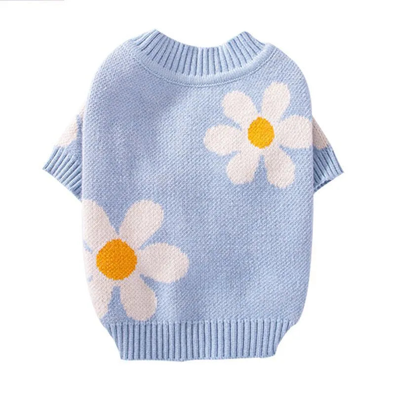 Small dog wearing blue polyester autumn winter clothing on a grassy background.