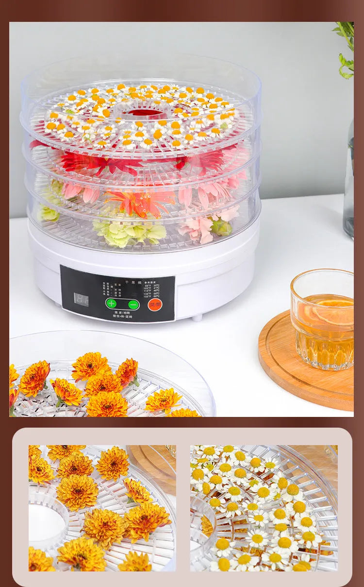 Five-layer household food dehydrator with removable drying trays and UK plug