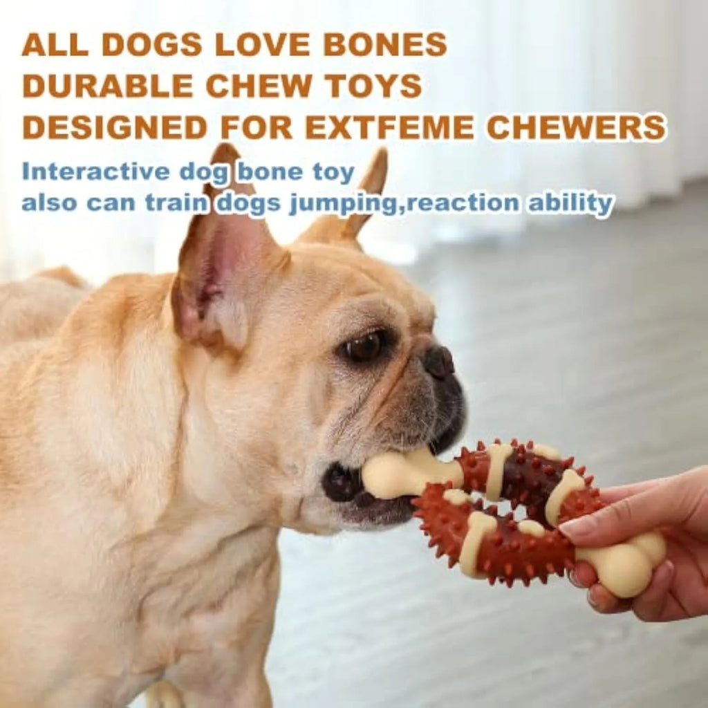 Natural rubber bone-shaped dog chew toy for teeth grinding, shown in large and small sizes.