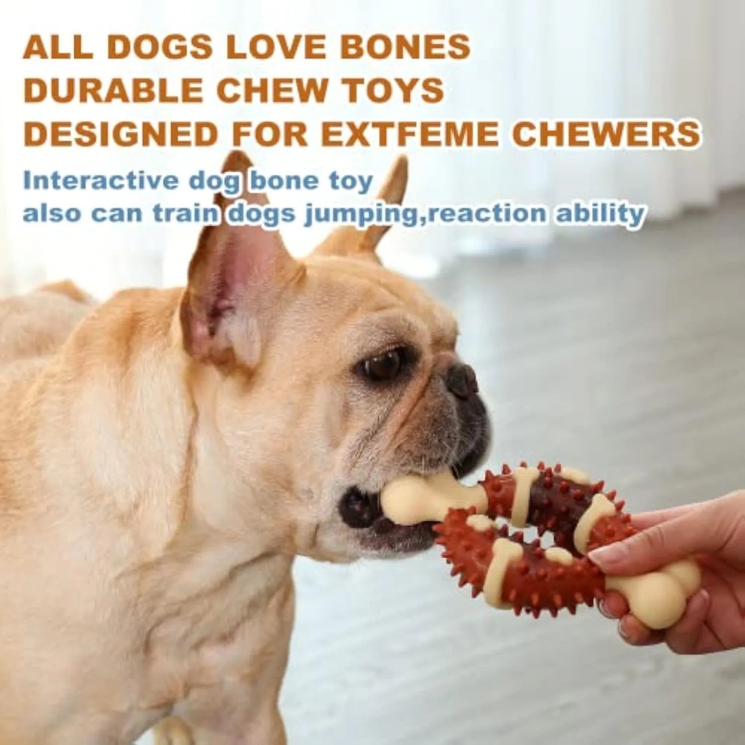 Natural rubber bone-shaped dog chew toy for teeth grinding, shown in large and small sizes.