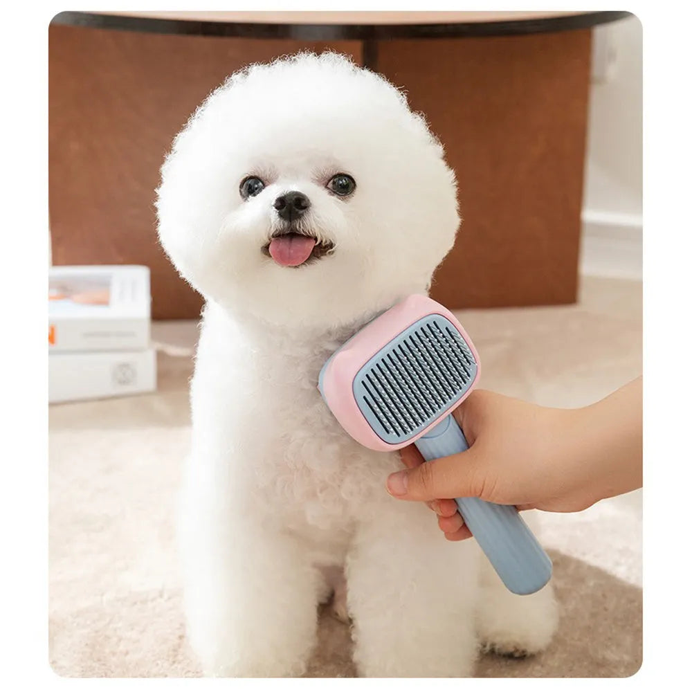 Blue and green double-sided pet grooming brush showing deshedding rake and dematting comb