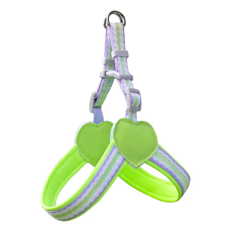 Nylon dog walking harness and leash set in multiple colours with adjustable sizing