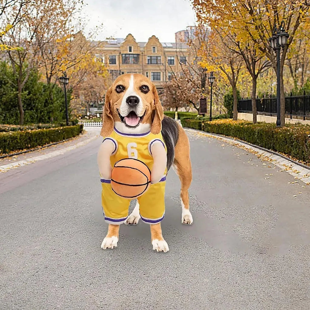 Dog basketball player costume in red or yellow with padded arms and toy basketball, S M L sizes