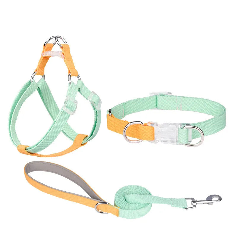 Polyester ribbon dog collar, lead, and chest strap set in a two-tone colour, shown with size adjustment buckle.