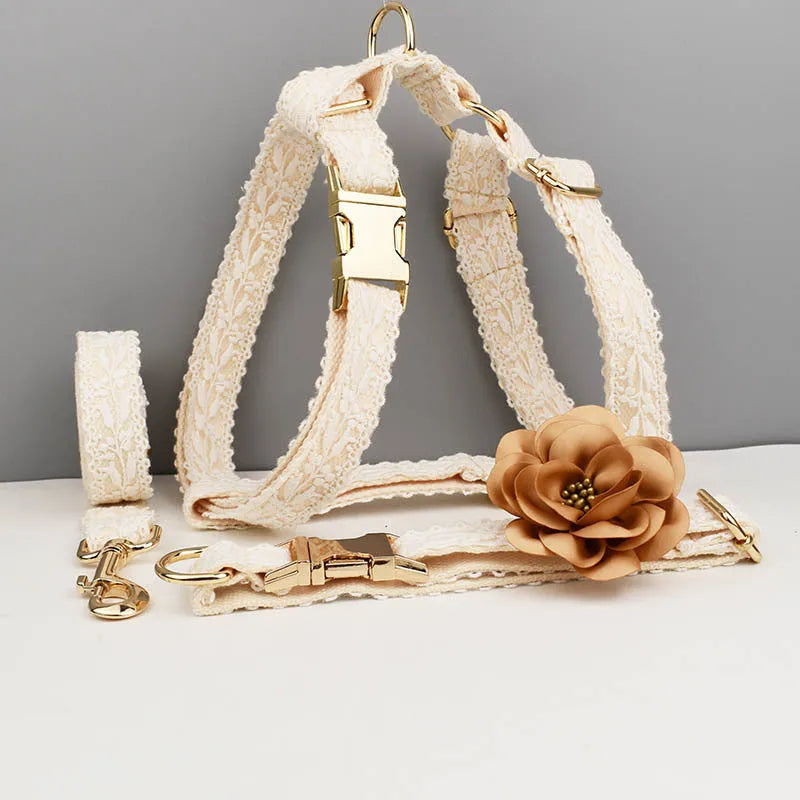 Lace pet wedding vest and collar set with floral decorations on dog model