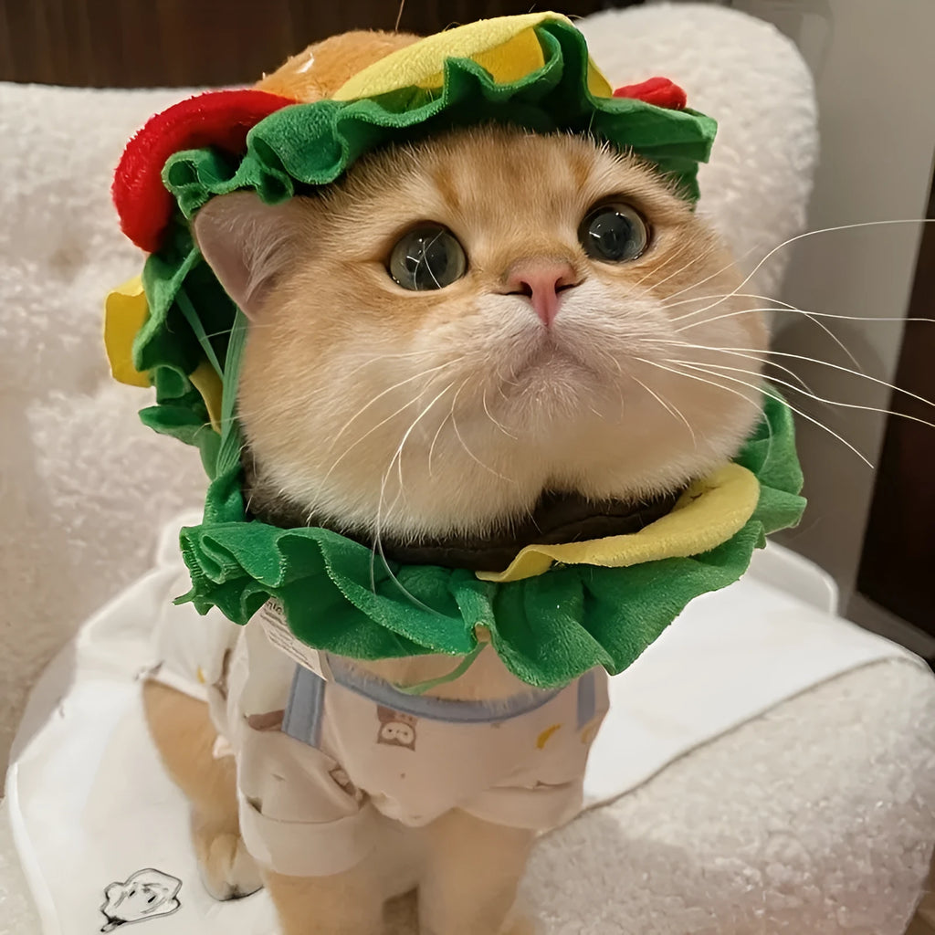 Soft fabric cat burger headdress collar with adjustable sizing on feline model
