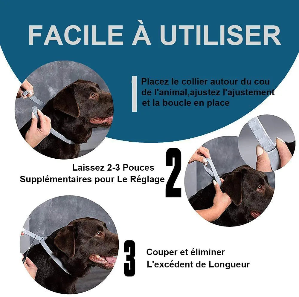 Rainbow plastic flea preventing collar for cats and dogs in 38cm and 62cm sizes