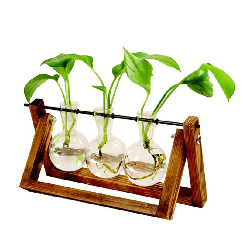 Wooden stand hydroponic plant container with geometric glass vases in pastoral style