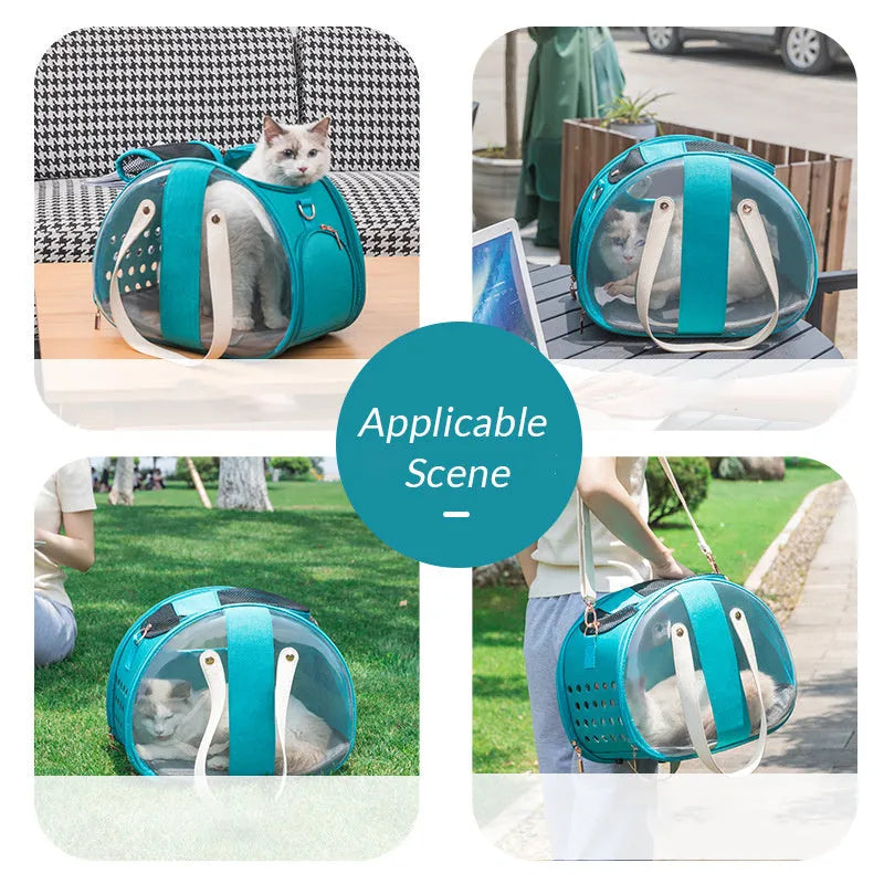 Double Fish transparent PVC pet backpack for small dogs and cats in sky blue with ventilation holes