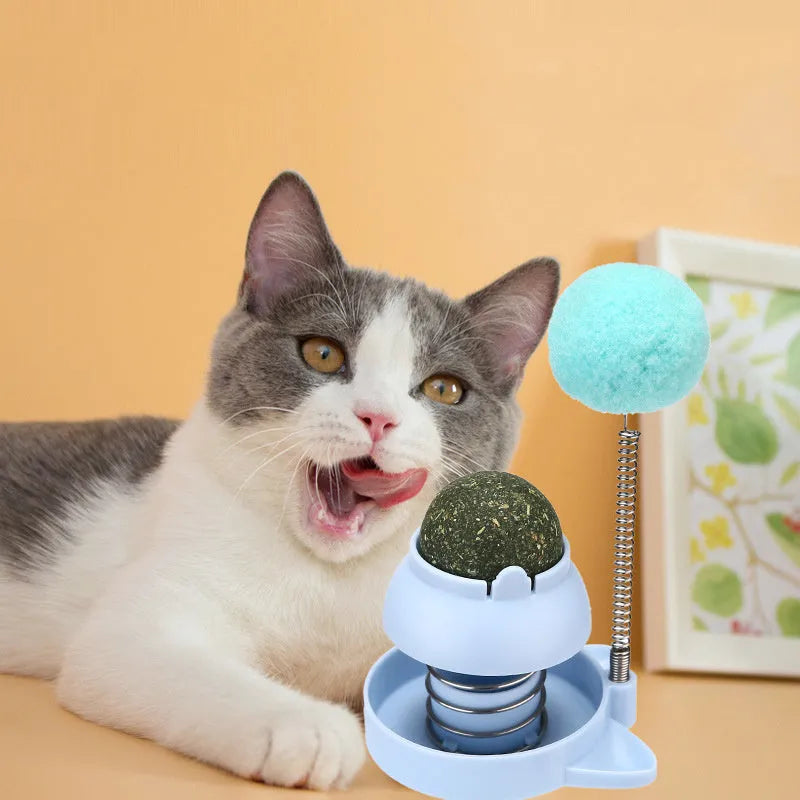 Lucky cat mint ball toy with four mint balls for feline play and dental grinding