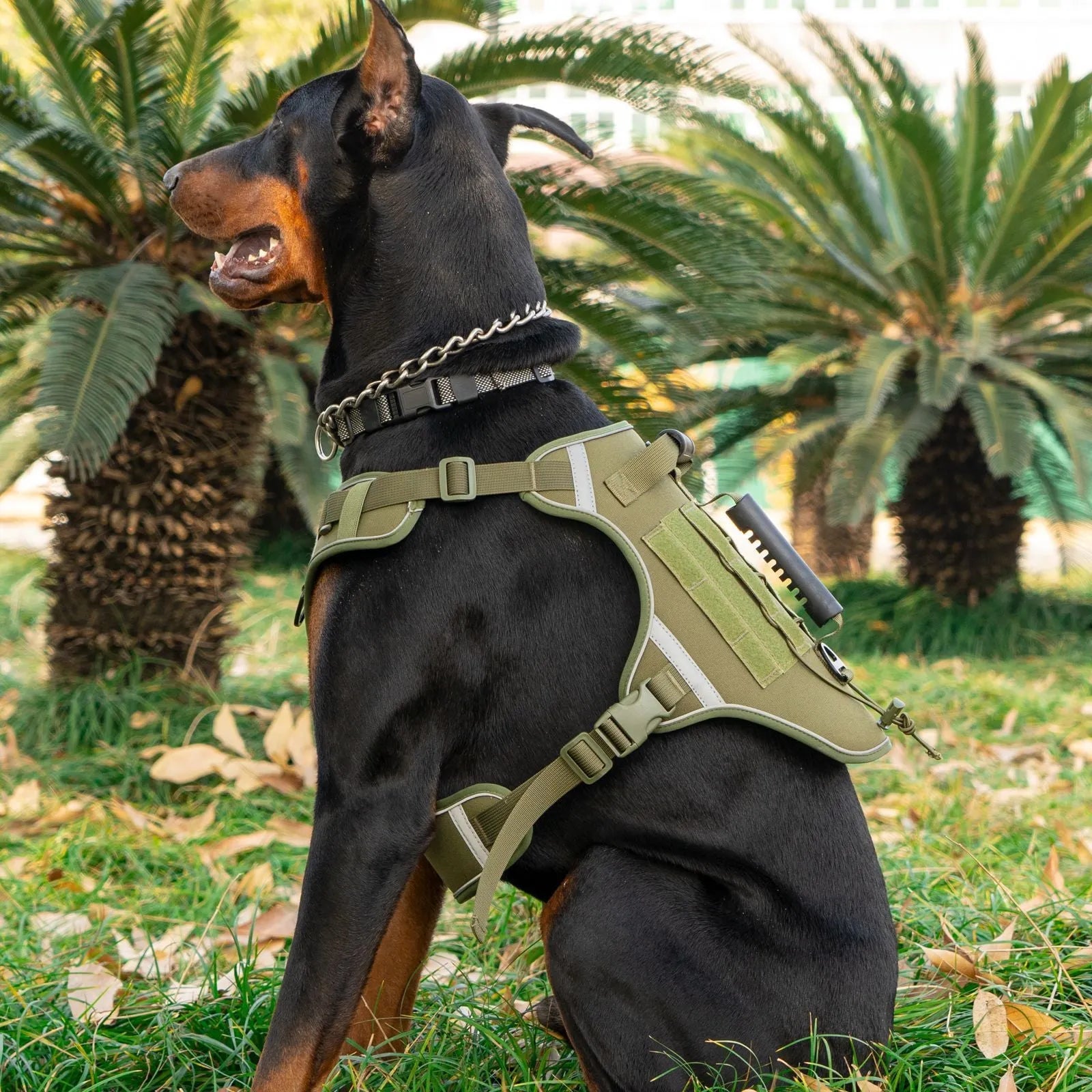 Tactical dog chest harness with rope leash in polyester with reflective strips
