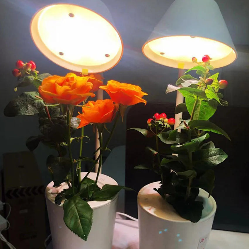 A white plastic hydroponic container for desktop soilless plant cultivation.