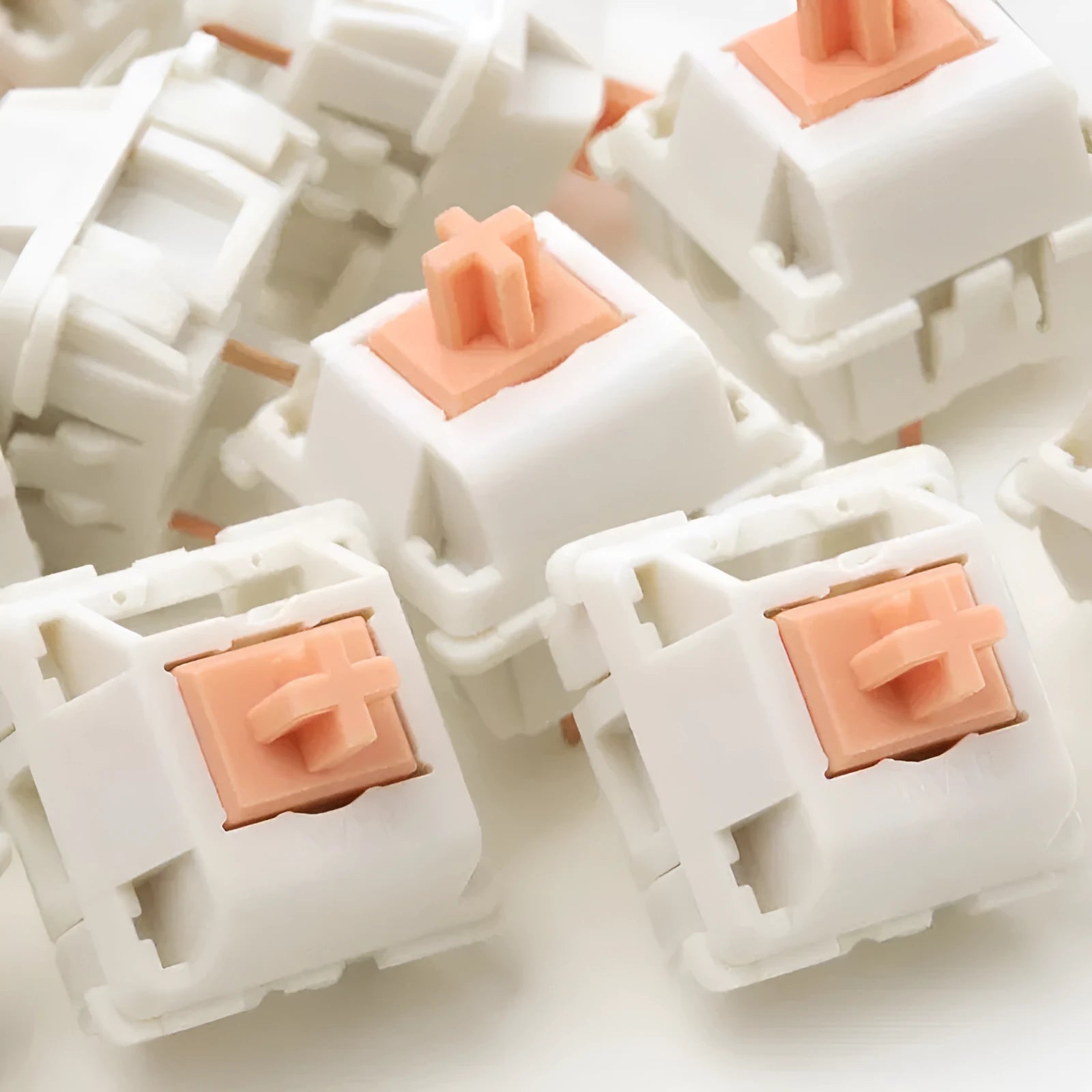 Single Panda mechanical keyboard switch with clear plastic housing for DIY keyboard builds