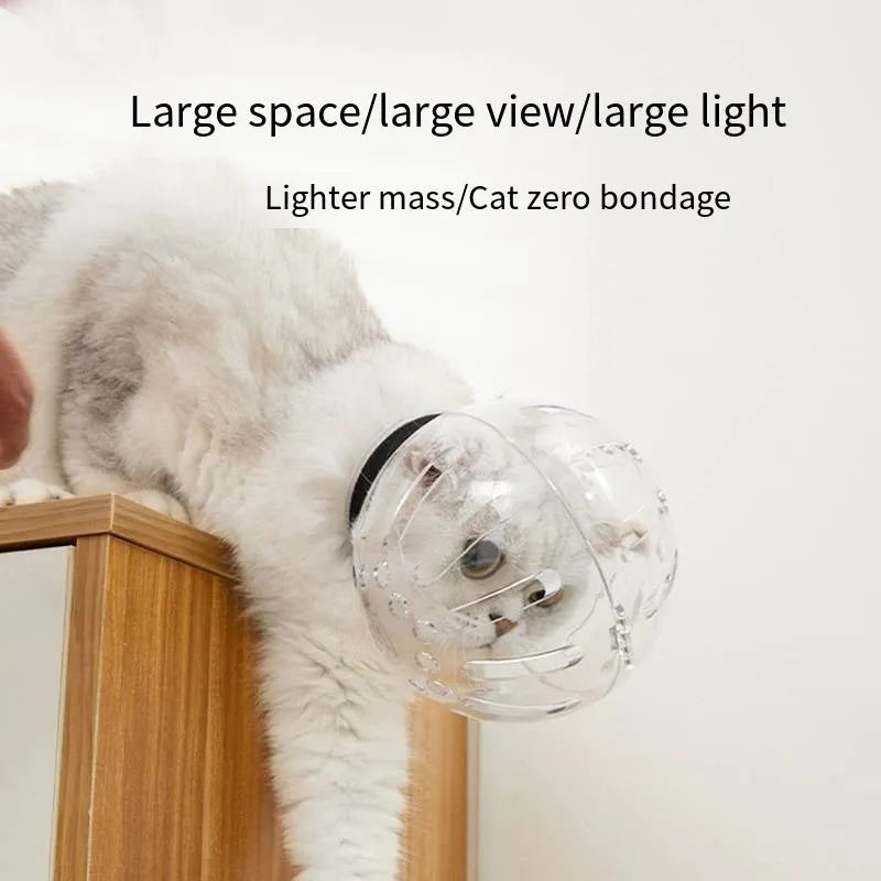 Transparent cat muzzle hood with adjustable velcro strap for veterinary and grooming use