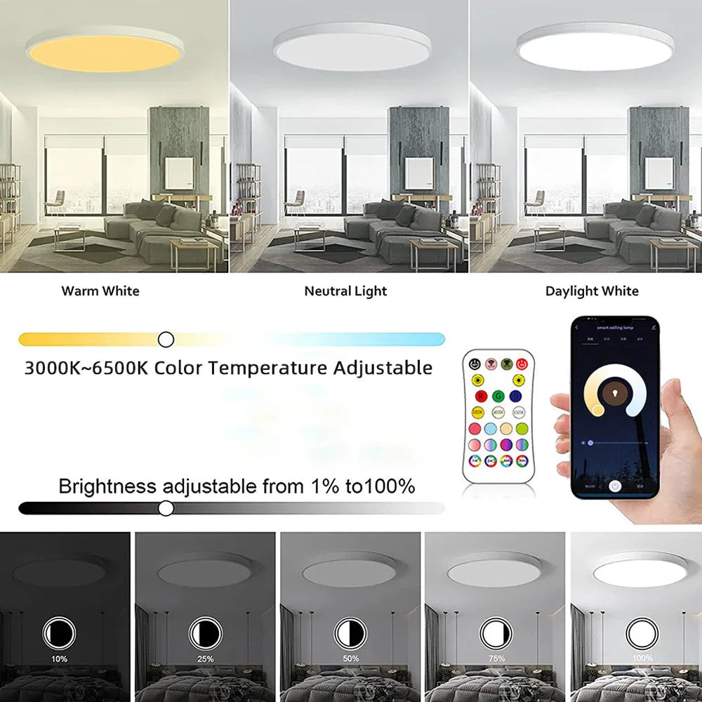 300mm diameter RGBCW smart ceiling lamp in black finish with remote control