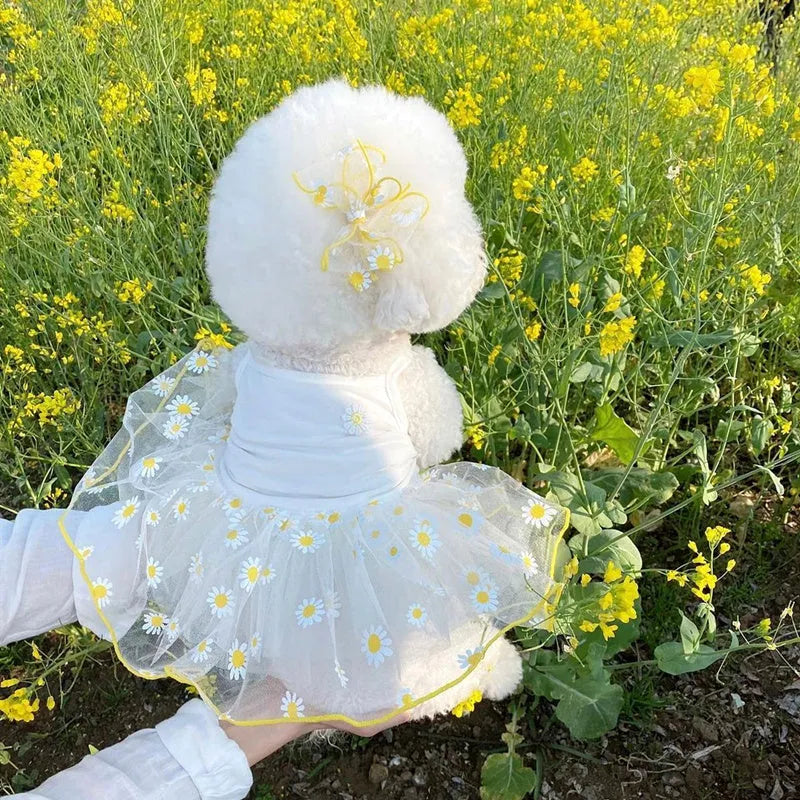 Yellow daisy pattern summer dog clothes lightweight polyester outfit sizes XS to XL